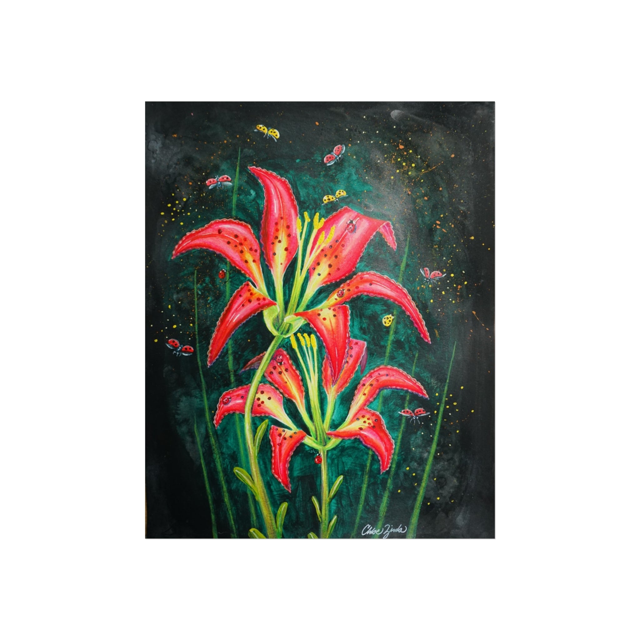 Fine Art Print — Red Wood Lily Bloom