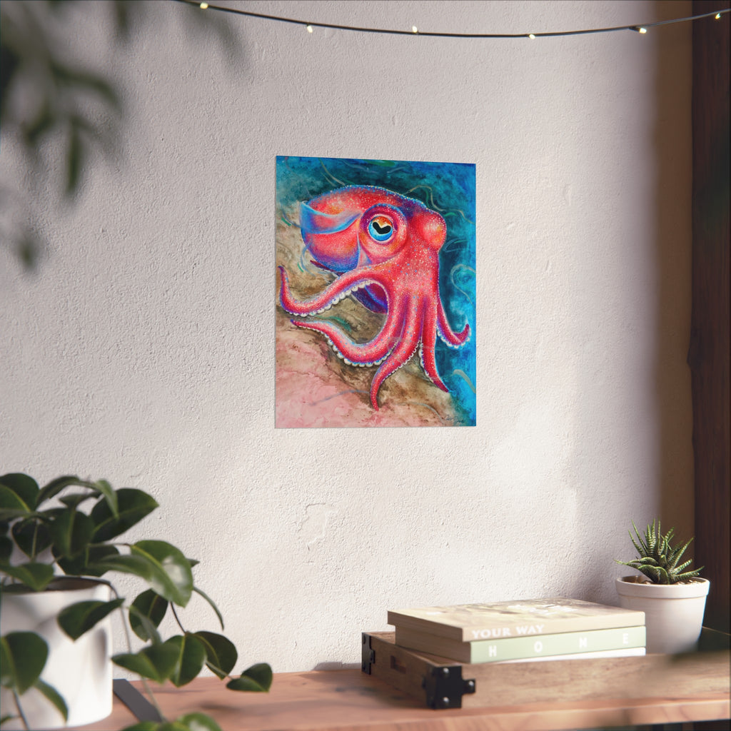 Wildlife Collection Stubby Squid—Fine Art Print