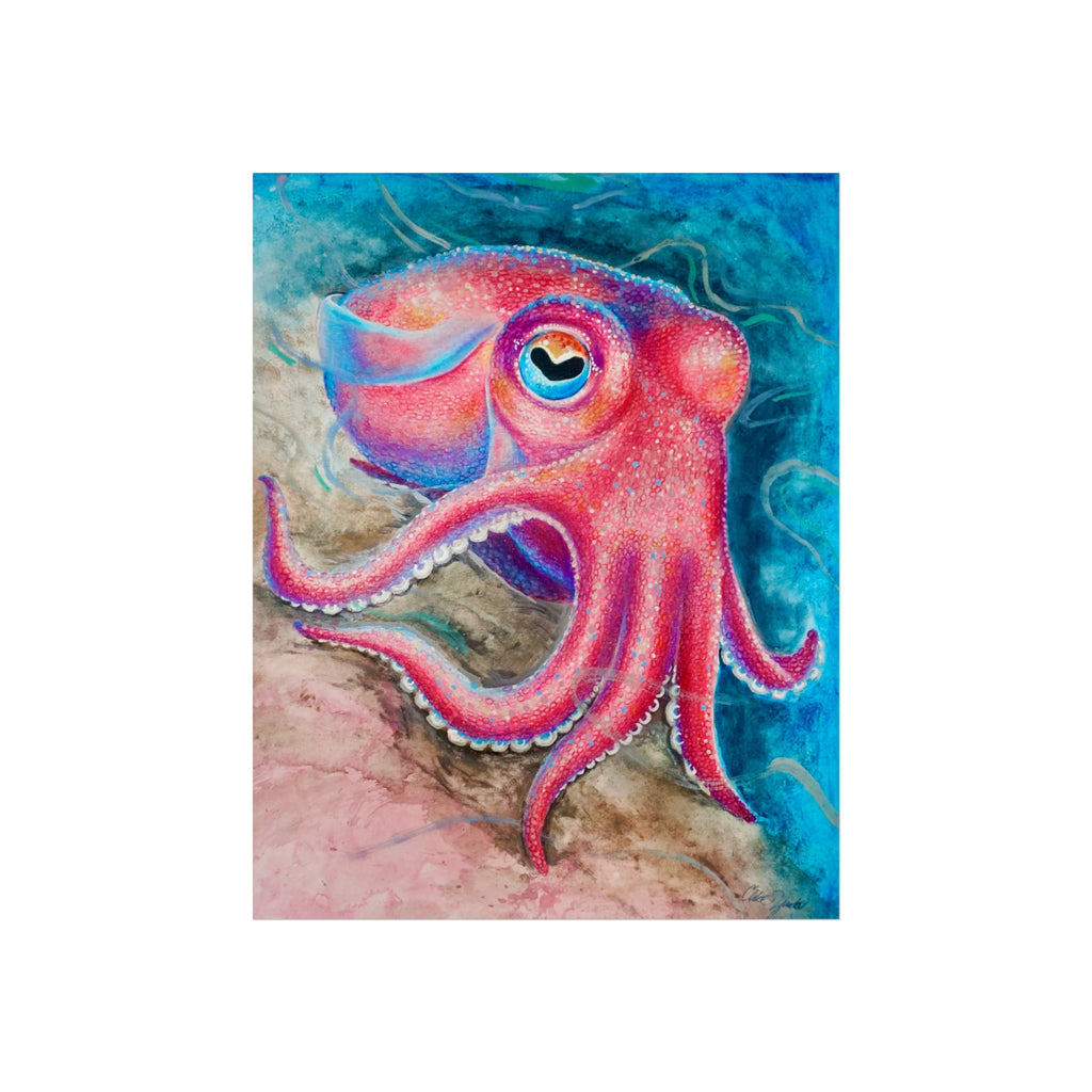 Wildlife Collection Stubby Squid—Fine Art Print