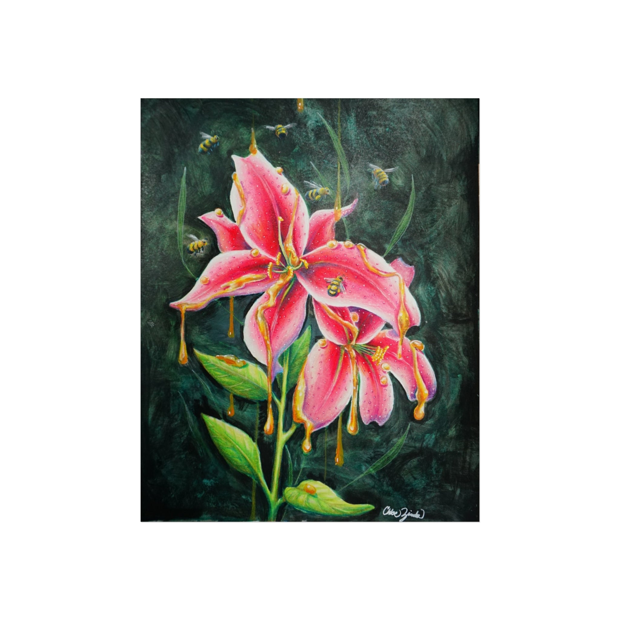 Fine Art Print — Pink Stargazer Lily Bloom