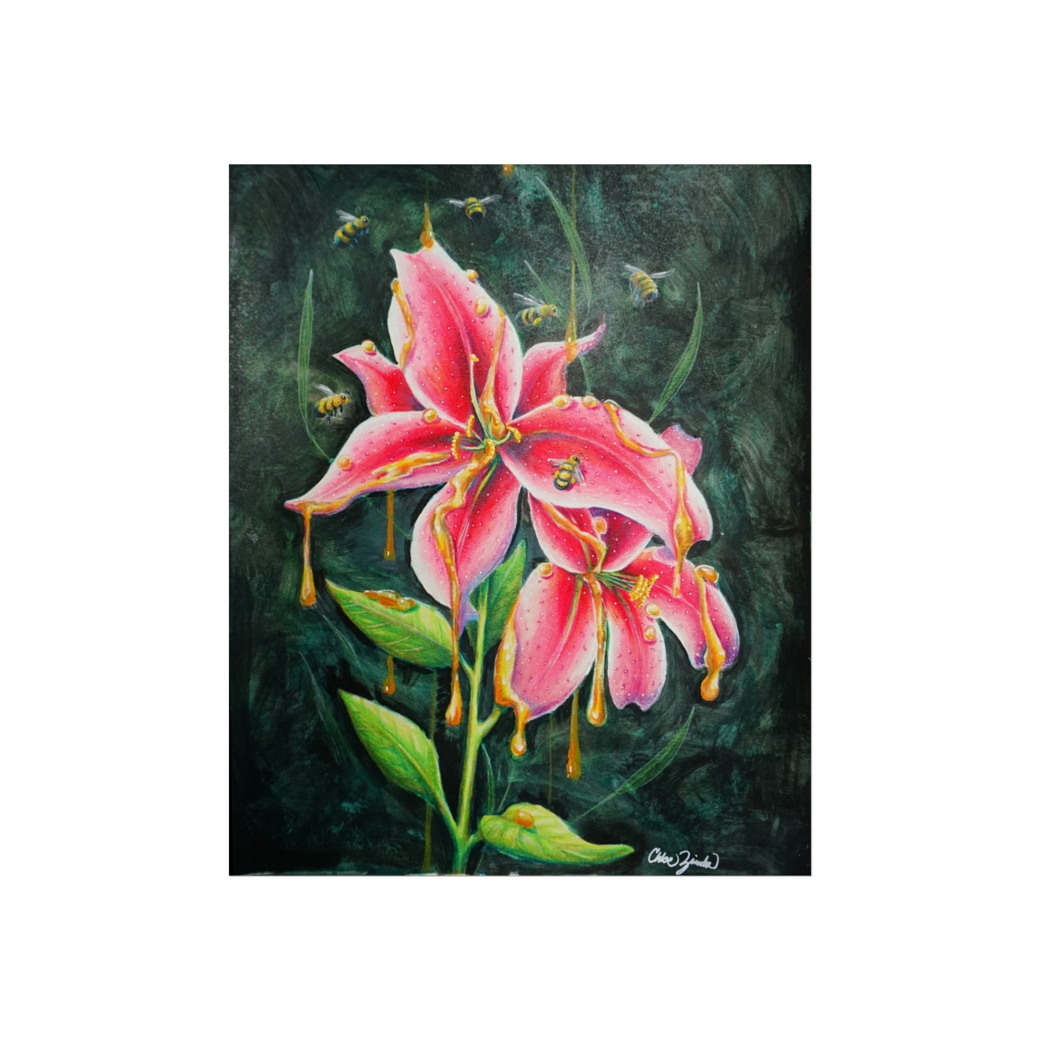 Lilies in Bloom Collection— Pink Stargazer Lily Fine Art Print