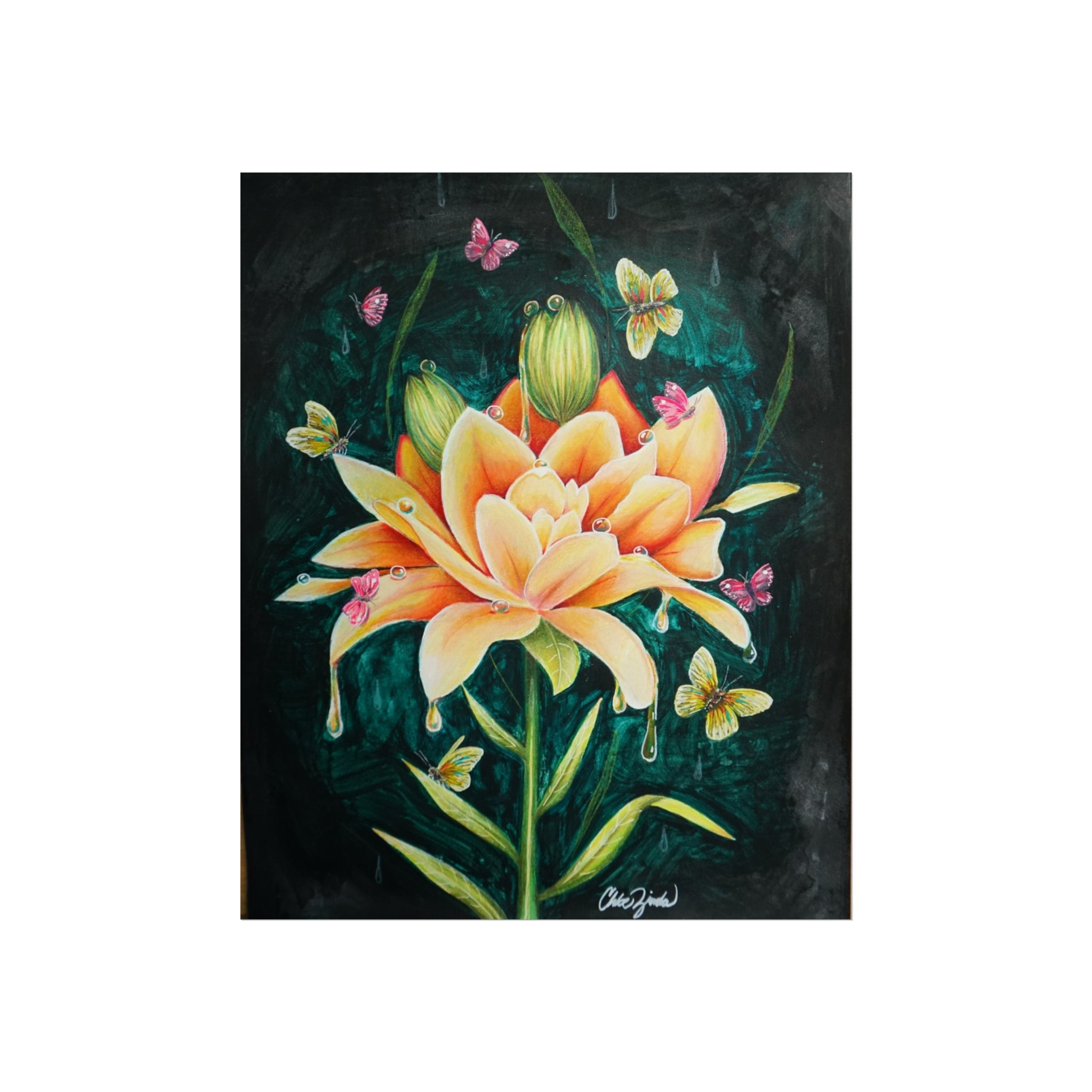Lilies in Bloom Collection — Double Asiatic Lily Fine Art Print