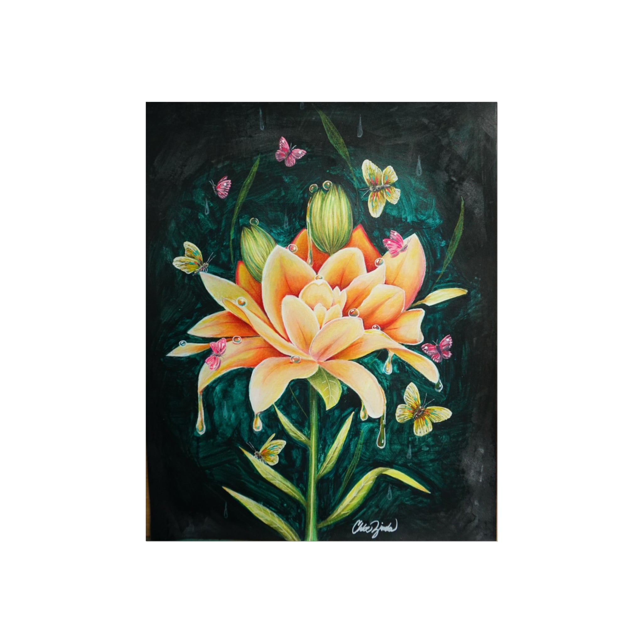 Fine Art Print — Double Asiatic Lily Bloom